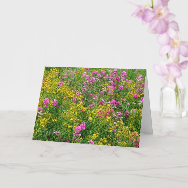 Cartão Field of Flower Wishes (Orquídea)