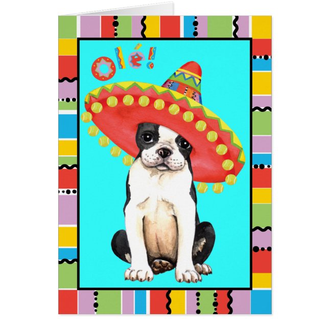 Cartão Fiesta Boston Terrier (Frente)