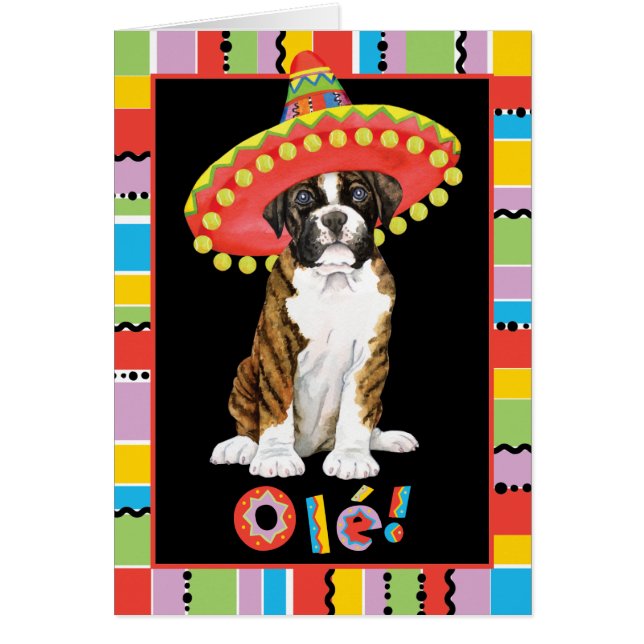 Cartão Fiesta Boxer (Frente)