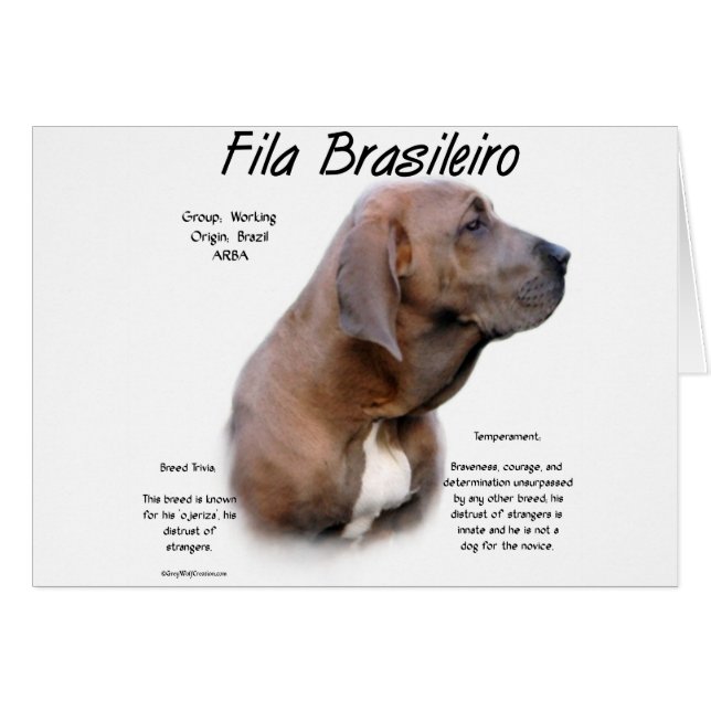 Cartão Fila Brasileiro History Design (Frente Horizontal)