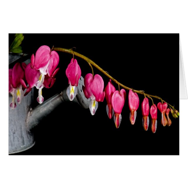 Cartão Fila De Corações (Frente Horizontal)