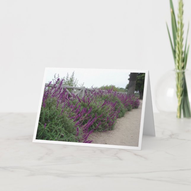 Cartão Fileira roxa (Frente)