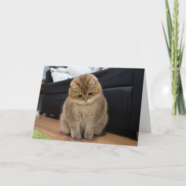 Cartão Filho fofo Hosico (Frente)