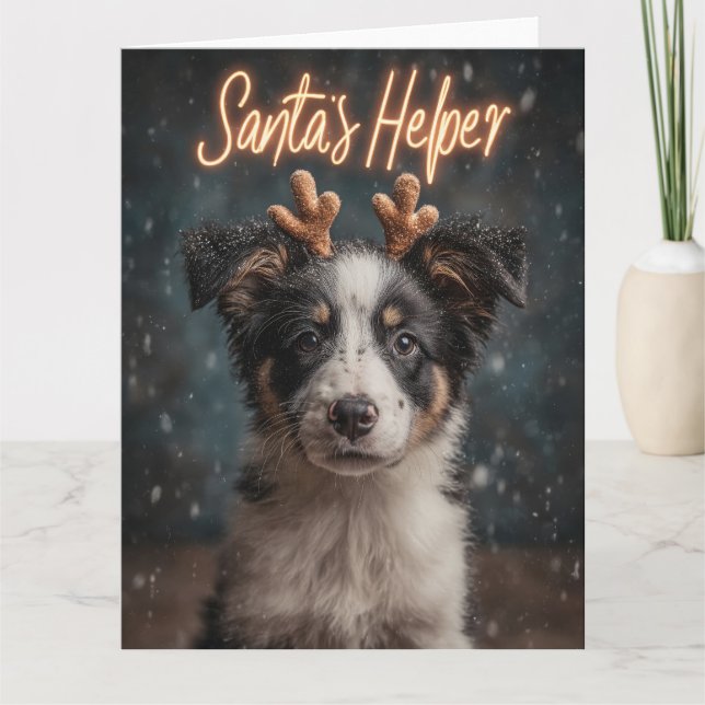 Cartão Filhote Adorável de Border Collie como Assistente  (Frente)