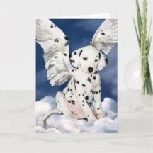 Filhote de Anjo Dálmata