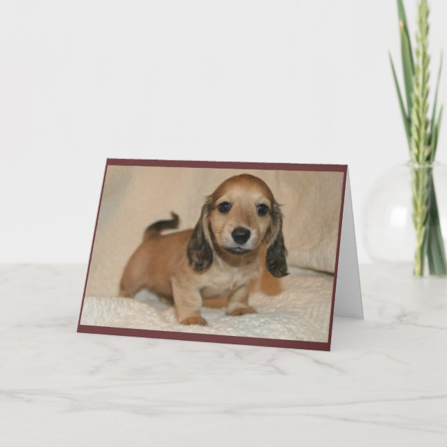 Cartão Filhote de cachorro (Frente)