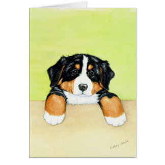Cartão Filhote de cachorro de Berner