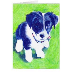 Cartão Filhote de cachorro de border collie no lápis