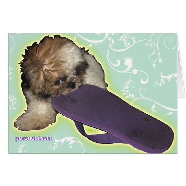 Cartão Filhote de cachorro de Pochi e flip-flops roxos (Frente Horizontal)
