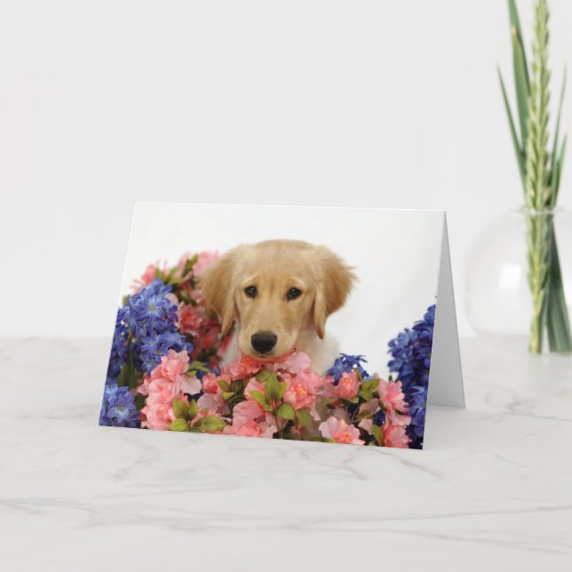 Cartão Filhote de cachorro e flores do golden retriever (Frente)