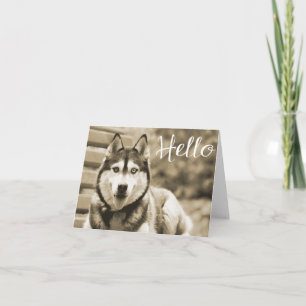 Cartão Filhote de Cachorro Husky Siberiano Olá, Pensando