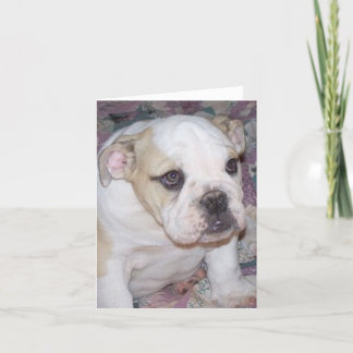 Cartão Filhote de cachorro inglês Notecard do buldogue