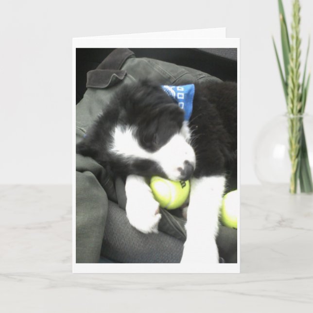 Cartão Filhote de cachorro máximo (Frente)