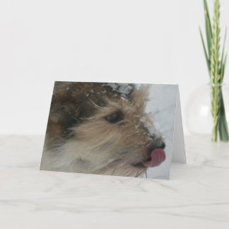 Cartão Filhote de cachorro na neve