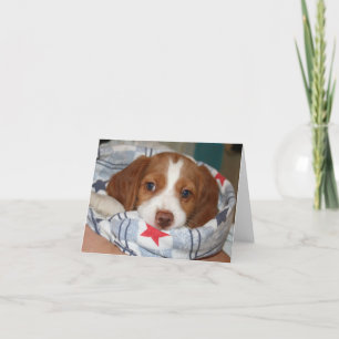 Cartão Filhote de cachorro Notecard de Brittany do
