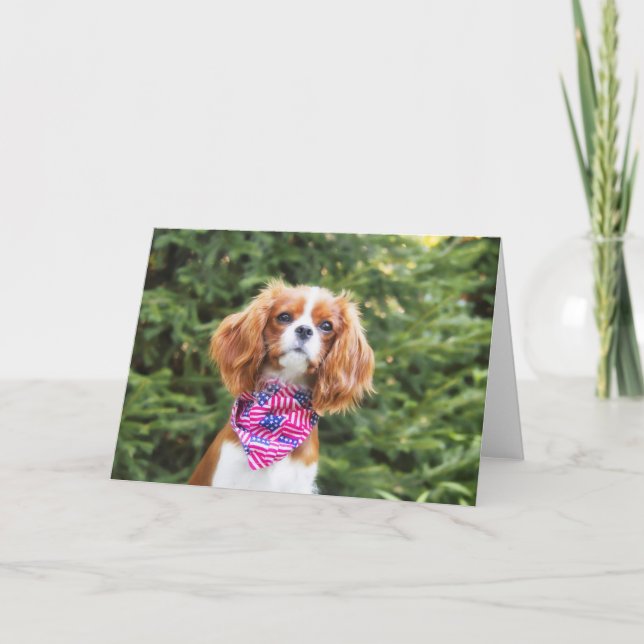 Cartão Filhote de Cavalier King Charles Spaniel 4 de Julh (Frente)