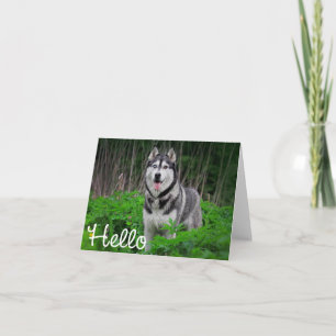 Cartão Filhote de Husky Siberiano Olá, Pensando em Você
