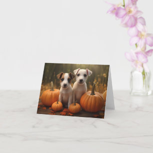 Cartão Filhote de Jack Russell Autumn Delight Abóbora