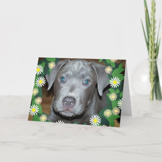 Cartão Filhote de Labrabull com Flores / Foto de Cachorro (Frente)