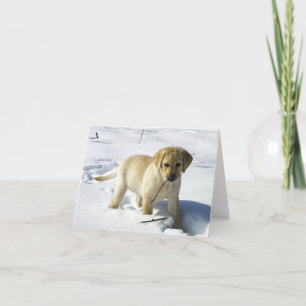 Cartão Filhote de labrador amarelo LR na neve