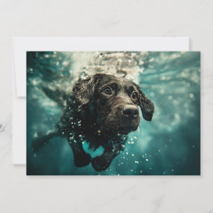 Cartão Filhote de Labrador Nadando Embaixo d'Água Design
