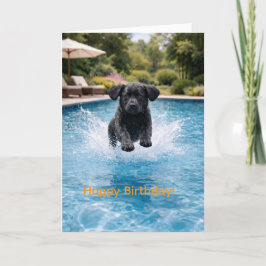Cartão Filhote de Labrador Preto na Piscina | Verão Adorá