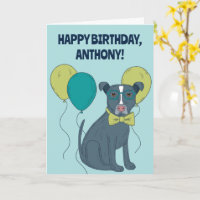 Filhote de Pit Bull Usando Óculos Personalizado