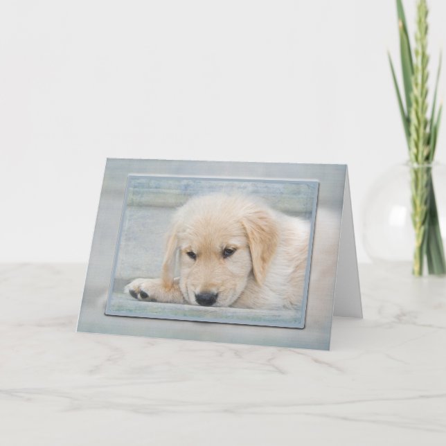 Cartão Filhote de Retriever Dourado em moldura azul (Frente)