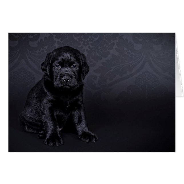 Cartão Filhote Labrador Preto (Frente Horizontal)