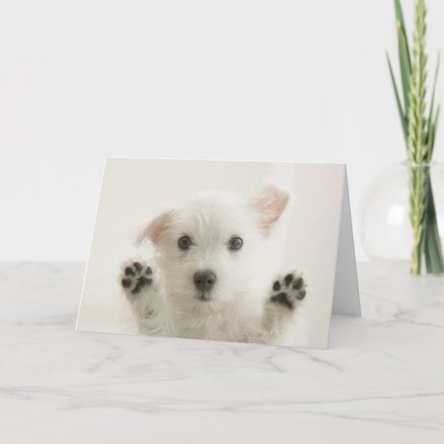 Cartão Filhote Westie Fofo (Frente)