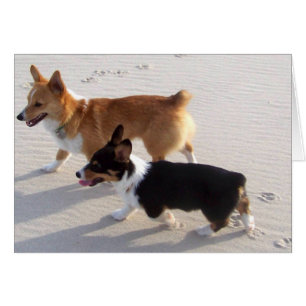 Cartão Filhotes de cachorro da praia