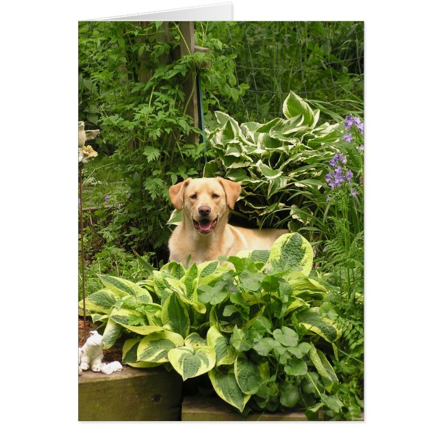 Cartão Filhotes de cachorro de florescência (Frente)