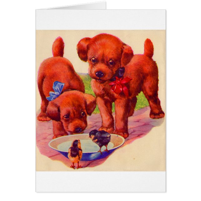 Cartão Filhotes e aves da década de 1930 (Frente)