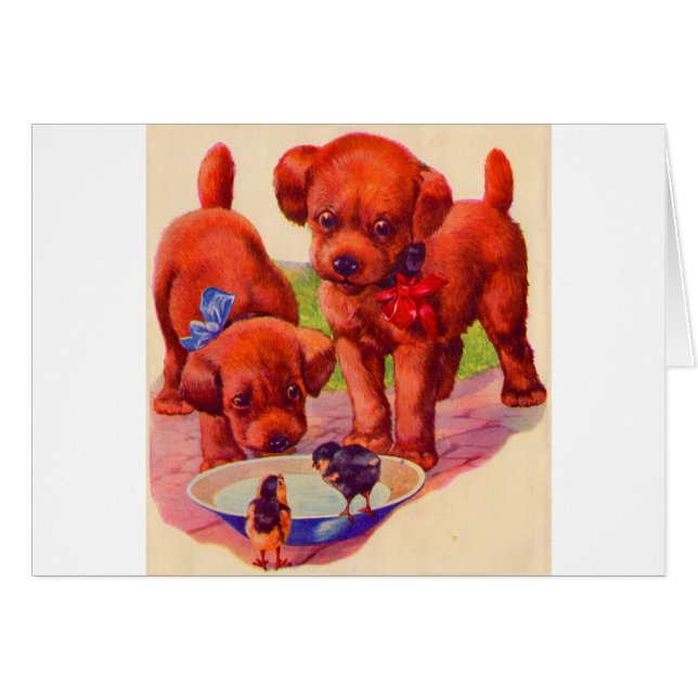 Cartão Filhotes e aves da década de 1930 (Frente Horizontal)