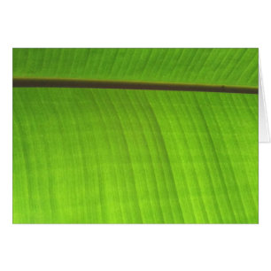 Cartão Fim-Acima da folha da banana