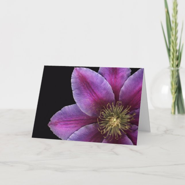 Cartão Fim-acima do Clematis de Fuscia (Frente)