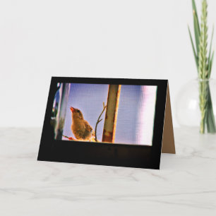 Cartão Finalização curiosa