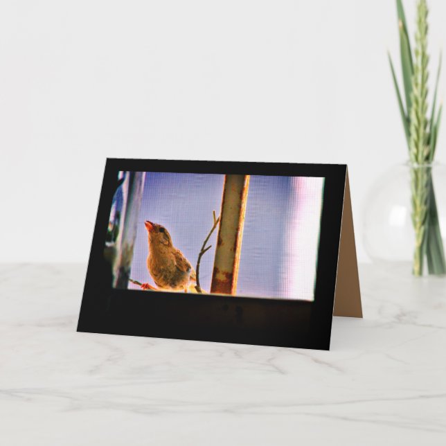 Cartão Finalização curiosa (Frente)