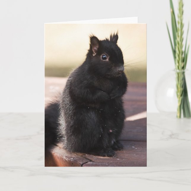 Cartão Finalmente amigos (Frente)