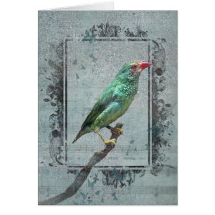 Cartão Finch da Estrela Australiana sobre Música