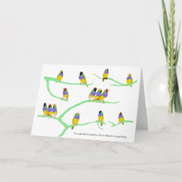 Cartão Finch Gouldian (Erythrura gouldiae)