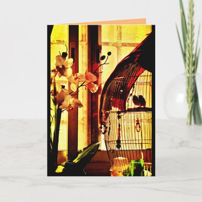 Cartão Finch Love (Frente)