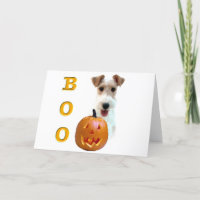 Fio Fox Terrier Boo