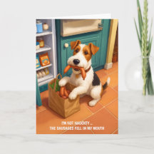 Fio Fox Terrier - Não sou malvado