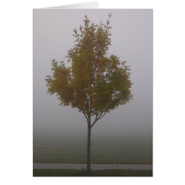 Cartão Fique Sozinho (Frente)