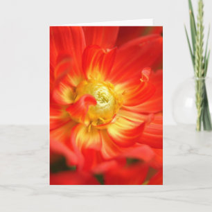 Cartão fire red dahlia