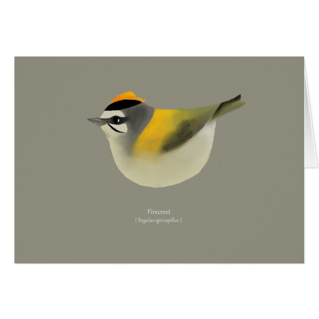 Cartão Firecrest (Frente Horizontal)
