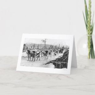 Cartão First Dog Team Alaska 1910