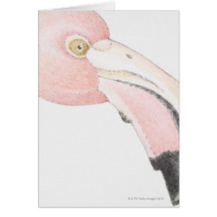 Cartão Flamingo