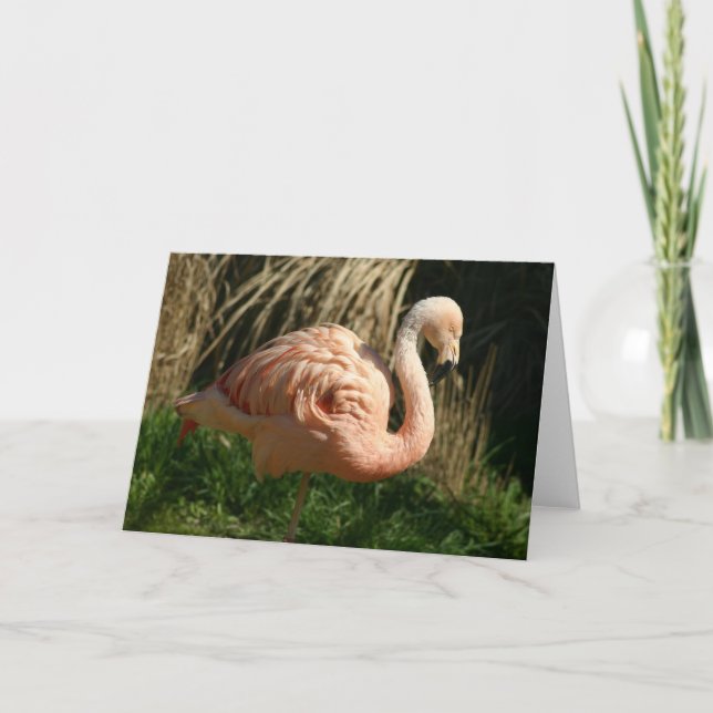 Cartão Flamingo cor-de-rosa (Frente)